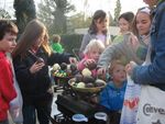 IMG_1356.JPG