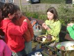 IMG_1370.JPG