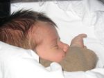 IMG_2072.JPG