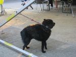 IMG_2076.JPG
