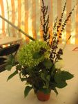 IMG_2841.JPG
