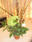 IMG_2842.JPG