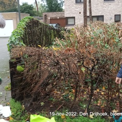 19 november 2022: Bloembollen planten op het Dosfelhof